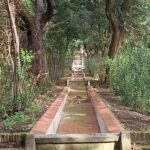La ragnaia durante i lavori di ripristino della vegetazione